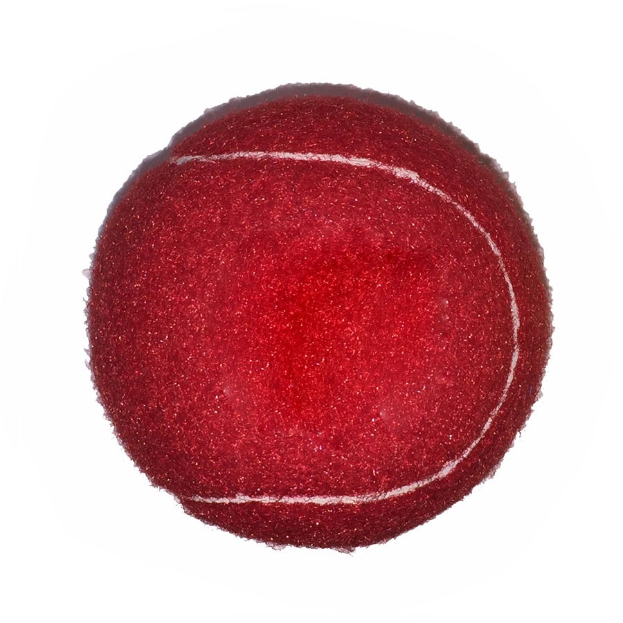 Fido%27s Dog Ball 1
