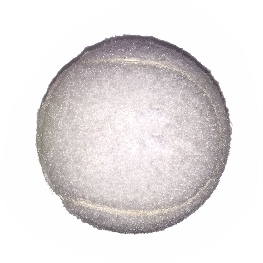 Fido%27s Dog Ball 1