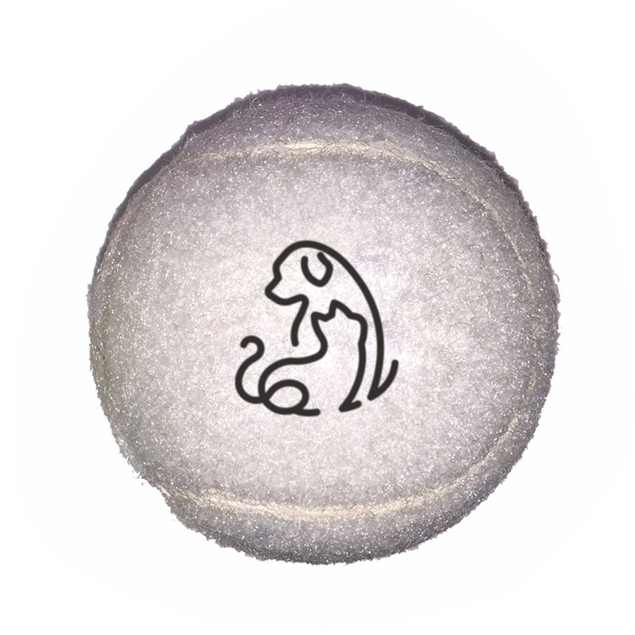 Fido%27s Dog Ball 1