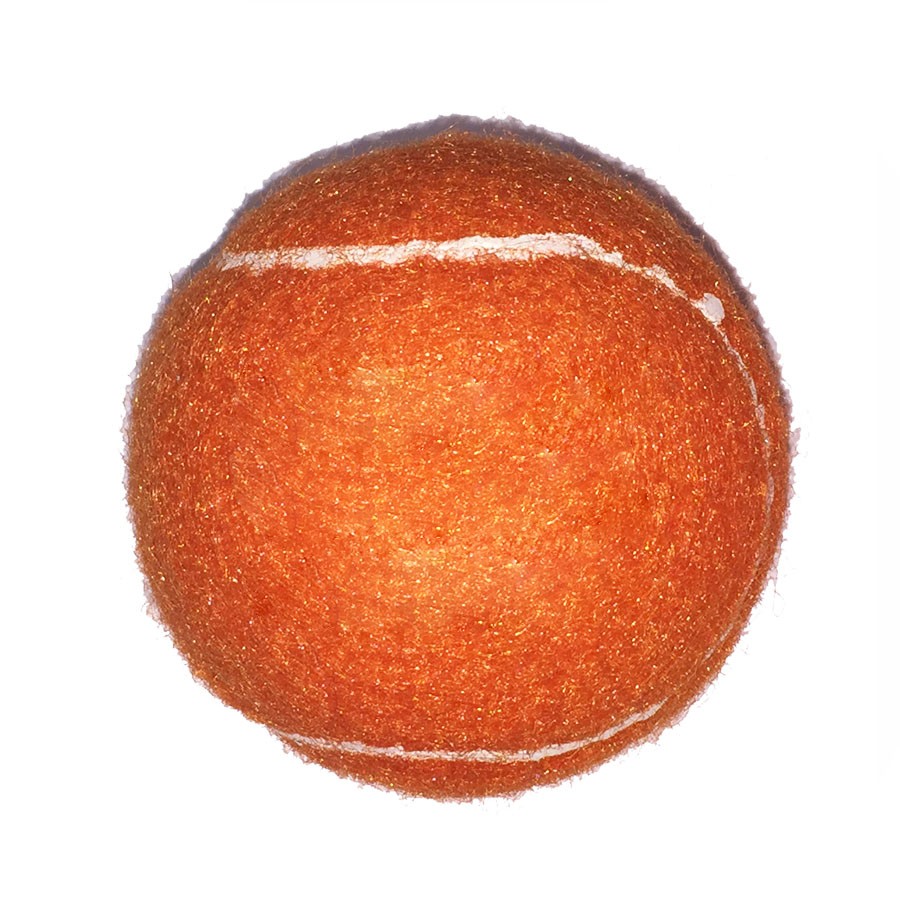 Fido%27s Dog Ball 1