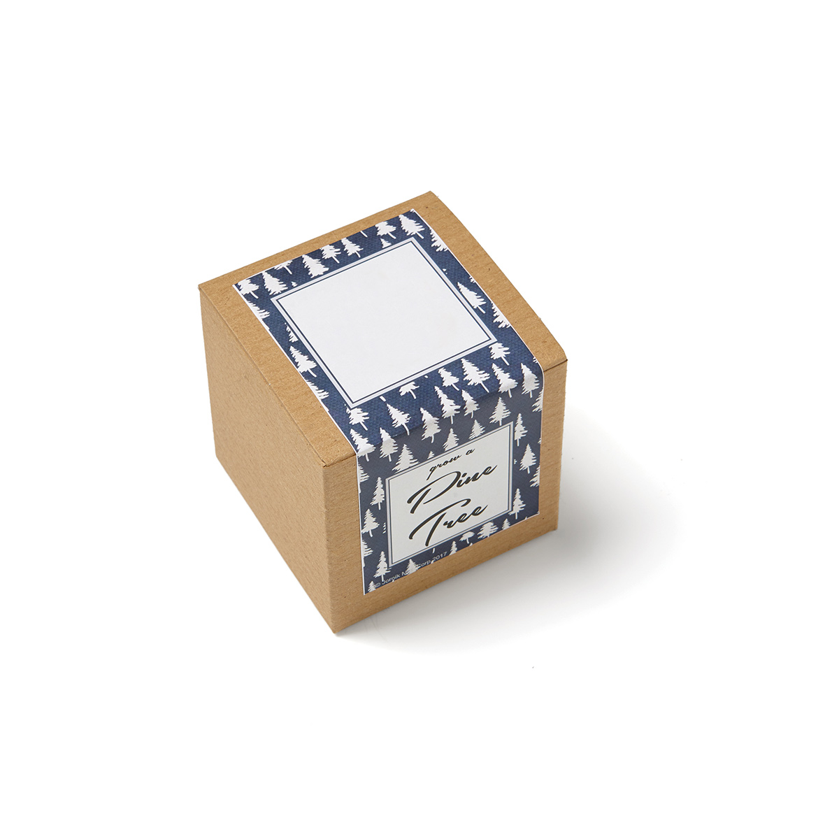Growables Planter in Kraft Gift Box (Pine Tree) 1