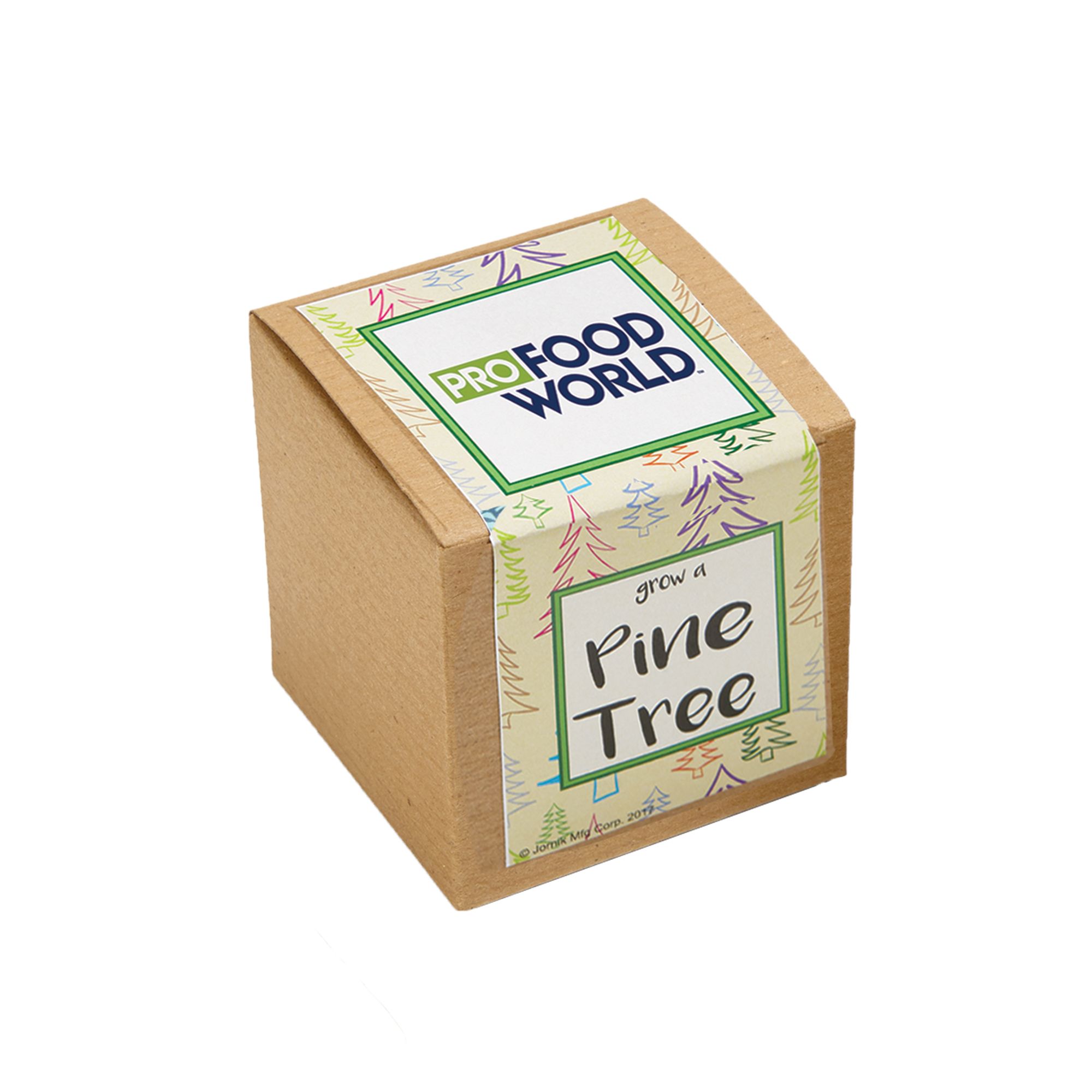 Growables Planter in Kraft Gift Box (Pine Tree) 1