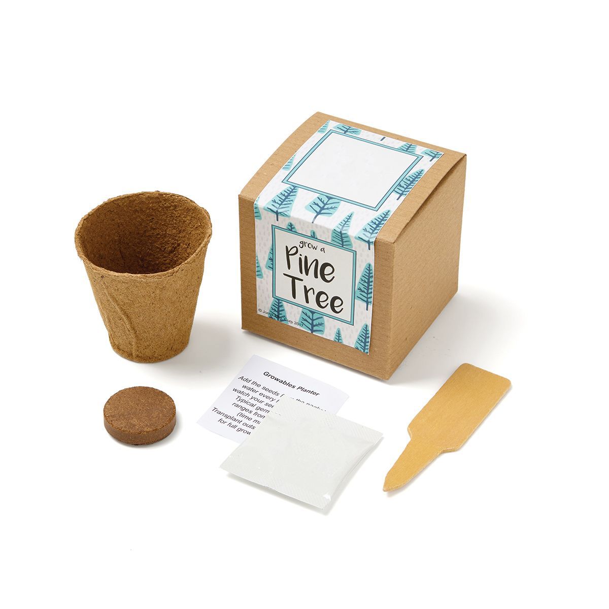 Growables Planter in Kraft Gift Box (Pine Tree) 1