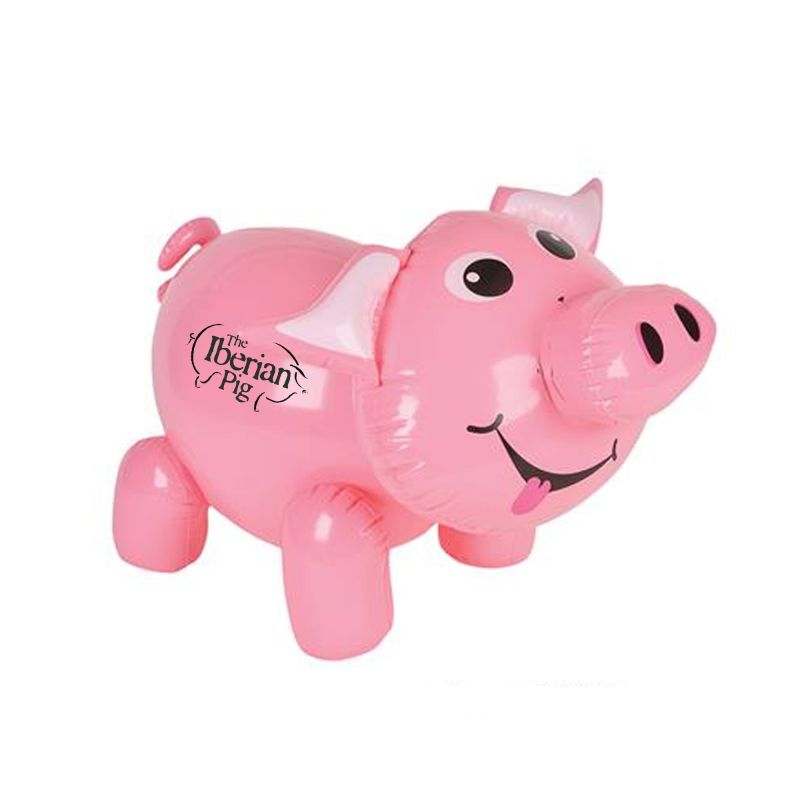 24" Pig Inflate 1 24" Pig Inflate 1