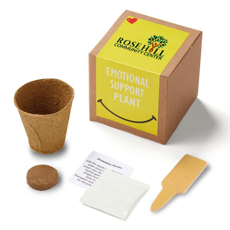 Inspirational Emotional Support Planter in Kraft Gift Box 1 Inspirational Emotional Support Planter in Kraft Gift Box 1