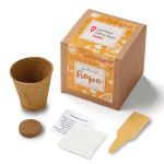 Garden of Hope Planter in Kraft Gift Box (Orange) 1 Garden of Hope Planter in Kraft Gift Box (Orange) 1