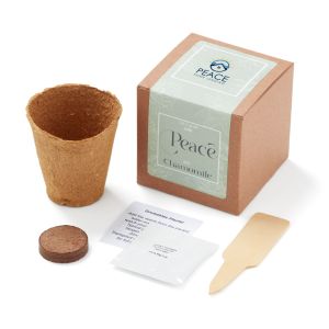 Grow Some Peace Planter in Gift Box 1 Grow Some Peace Planter in Gift Box 1