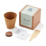 Grow Some Peace Planter in Gift Box 1 Grow Some Peace Planter in Gift Box 1