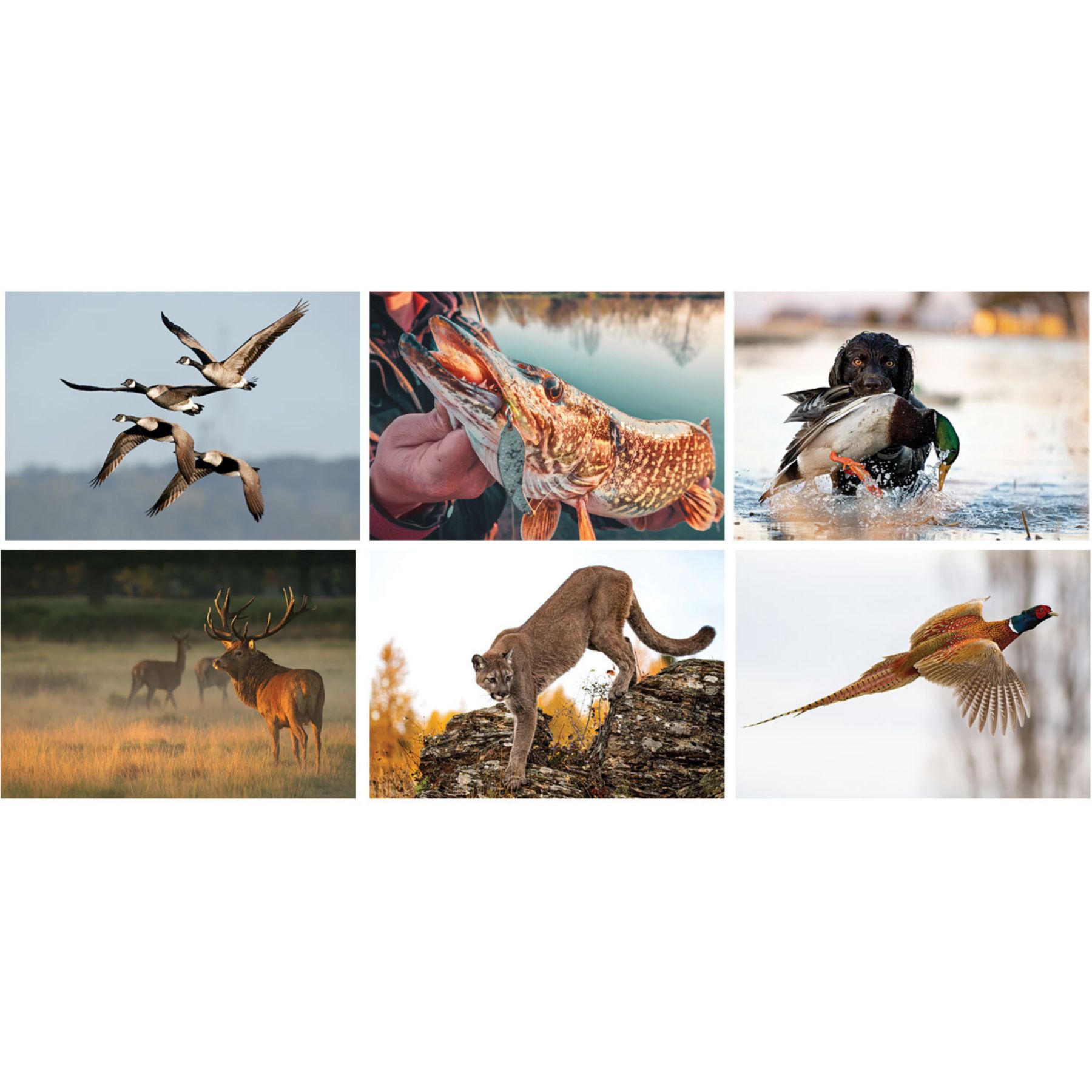 Full Color Sportsman Spiral Wall Calendar 1