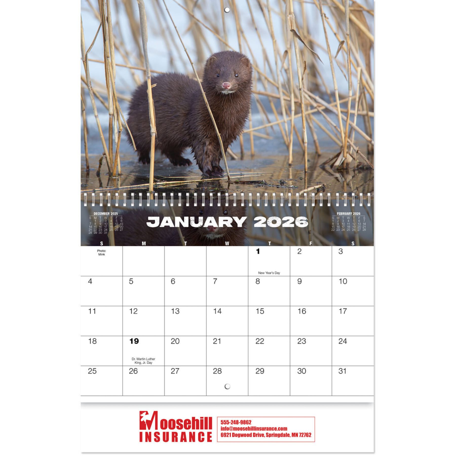 Wildlife Wall Calendar Spiral 1
