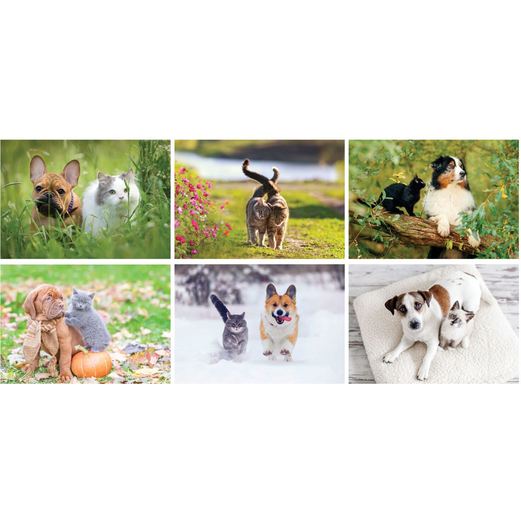 Full Color Furry Friends Desk Calendar 1