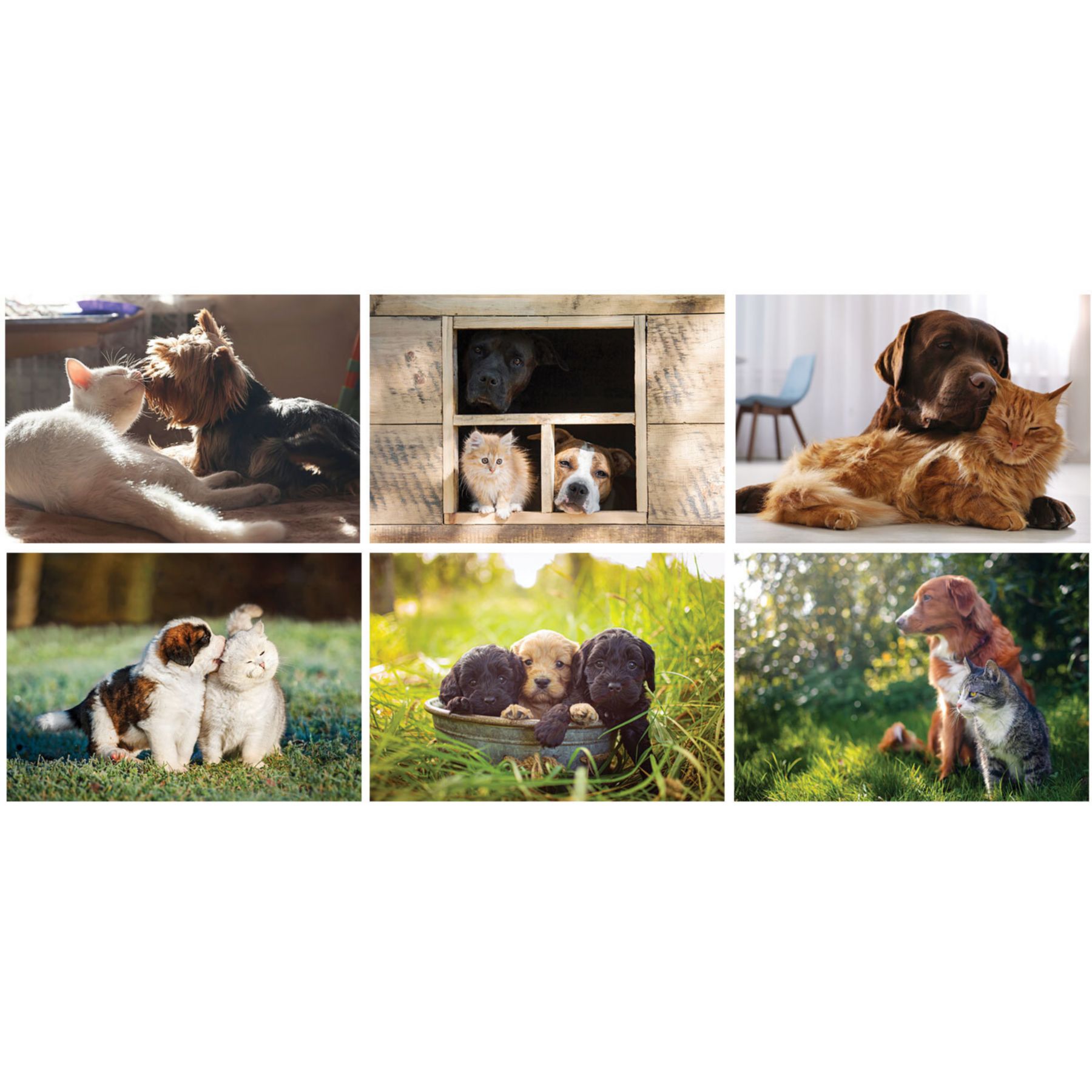 Full Color Furry Friends Desk Calendar 1