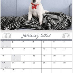 Canine Companions Stapled Wall Calendar 1 Canine Companions Stapled Wall Calendar 1