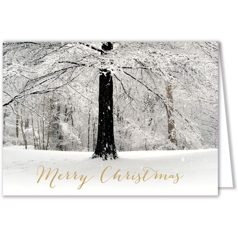 White Christmas Card 1 White Christmas Card 1