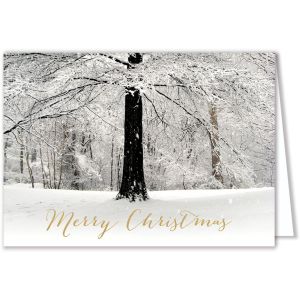 White Christmas Card 1 White Christmas Card 1