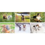 Furry Friends Stapled Wall Calendar 5 Furry Friends Stapled Wall Calendar 5