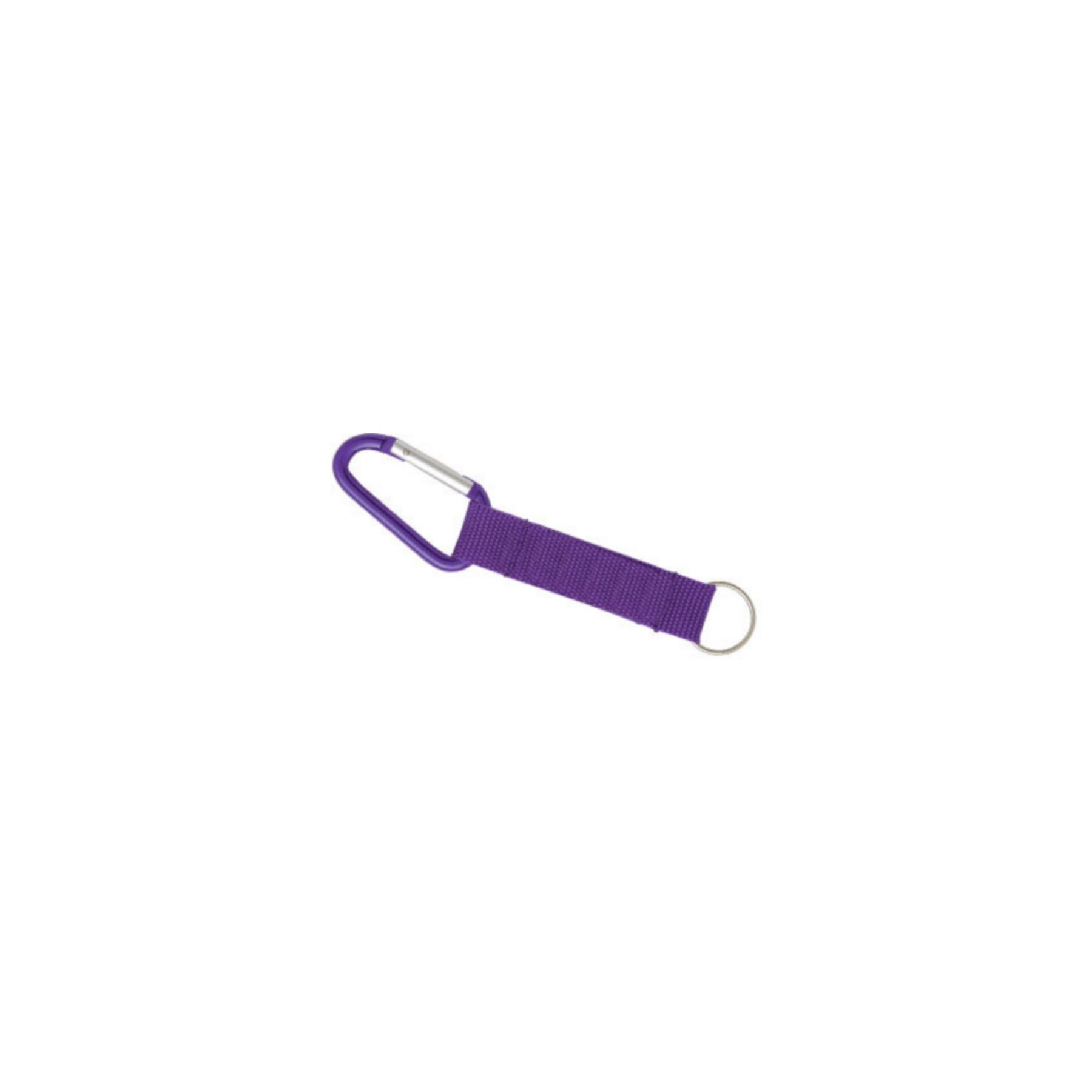 Carabiner Strap Key Ring 1