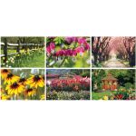 Full Color Garden Splendor Spiral Wall Calendar 4 Full Color Garden Splendor Spiral Wall Calendar 4