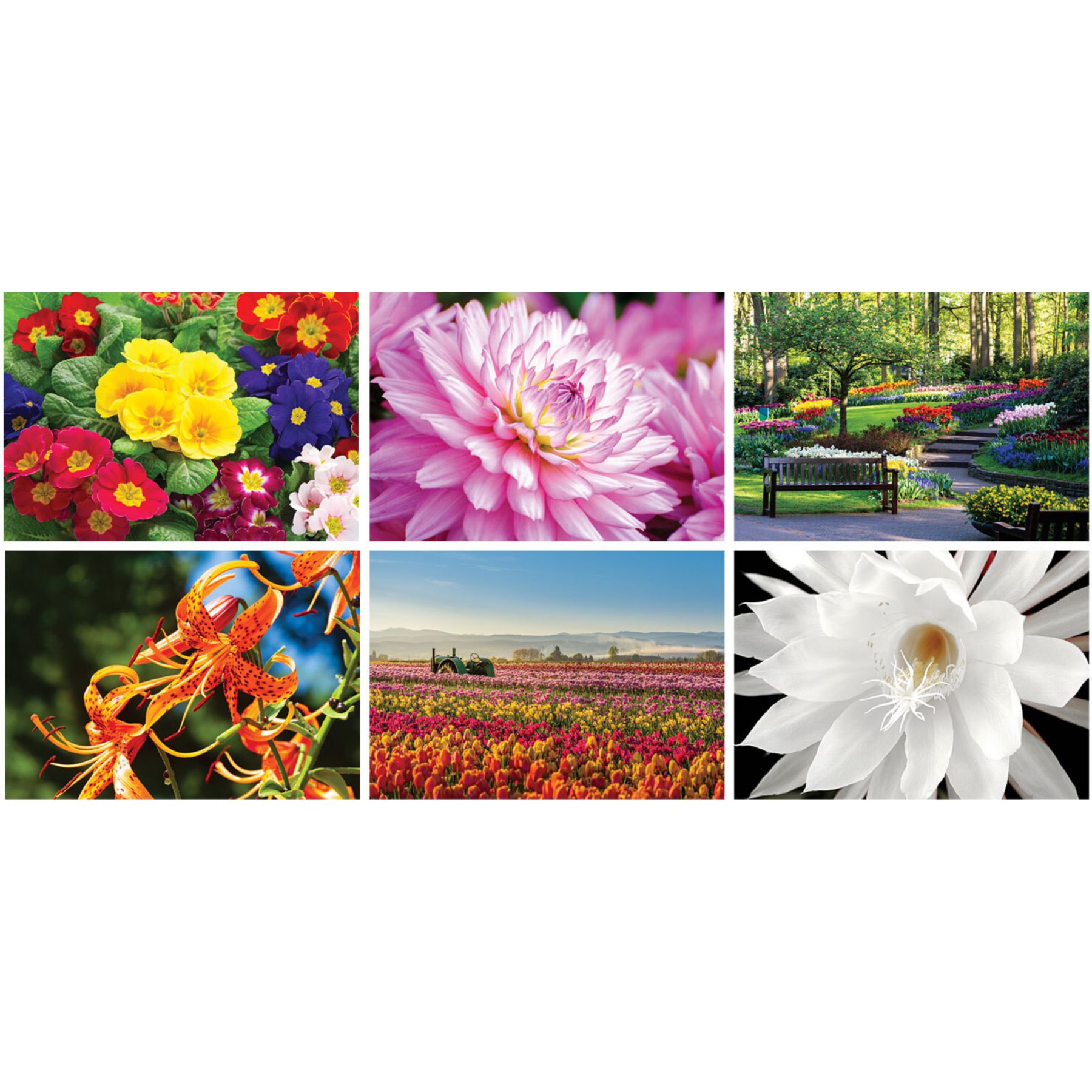 Full Color Garden Splendor Spiral Wall Calendar 1