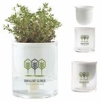 Self Watering Planter 1 Self Watering Planter 1