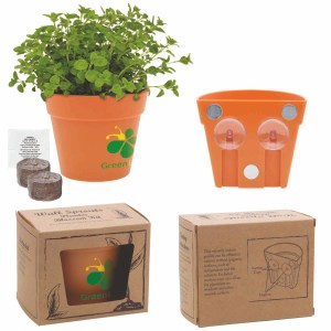 Wall Sprouts Planter Blossom Kit w/Seeds & Planter 1 Wall Sprouts Planter Blossom Kit w/Seeds & Planter 1