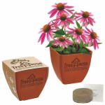 Bamboo Blossom Kit w/Seeds & Pot 1 Bamboo Blossom Kit w/Seeds & Pot 1