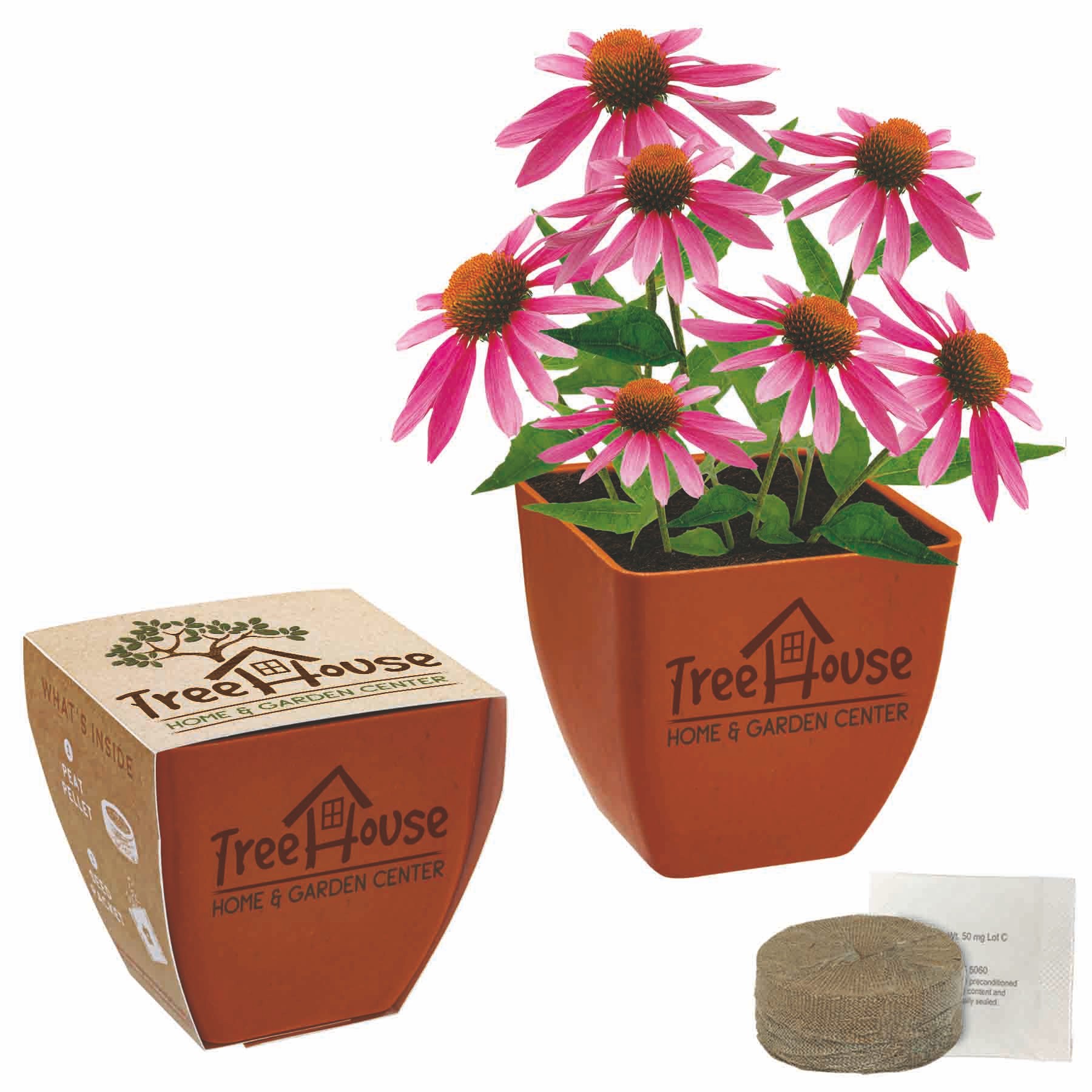 Bamboo Blossom Kit w/Seeds & Pot 1 Bamboo Blossom Kit w/Seeds & Pot 1