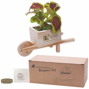 Wooden Wheel Barrow Blossom Kit w/Seeds 1 Wooden Wheel Barrow Blossom Kit w/Seeds 1