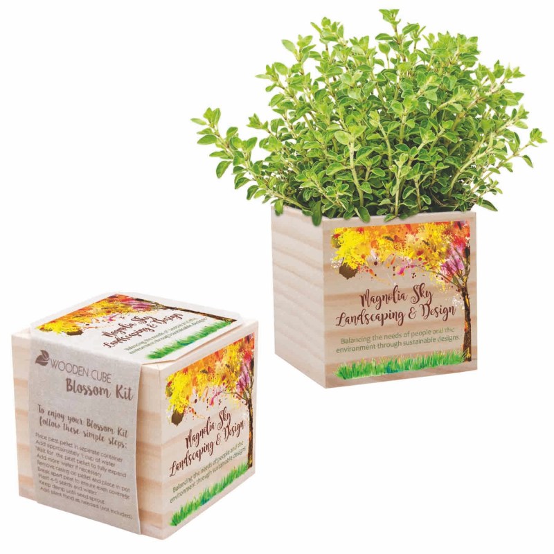 Wooden Cube Blossom Kit w/Seed Packet & Cube Planters 1 Wooden Cube Blossom Kit w/Seed Packet & Cube Planters 1