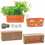 Wall Sprouts Indoor Garden Blossom Kit w/Seeds & Planter 1 Wall Sprouts Indoor Garden Blossom Kit w/Seeds & Planter 1