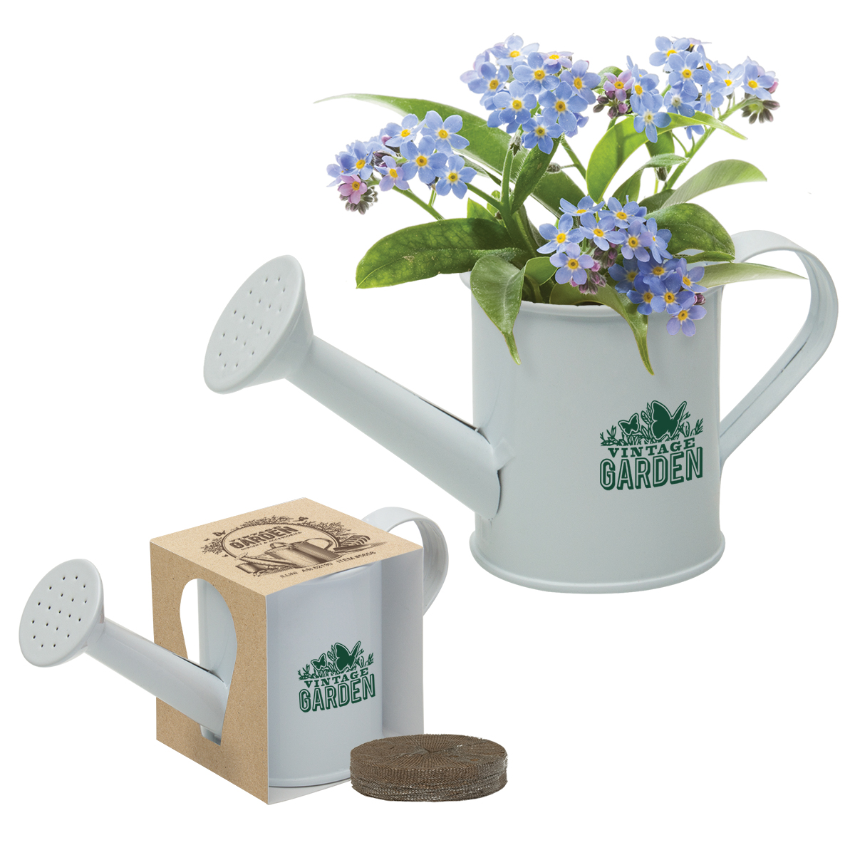 Mini Watering Can Blossom Kit w/Seeds 1