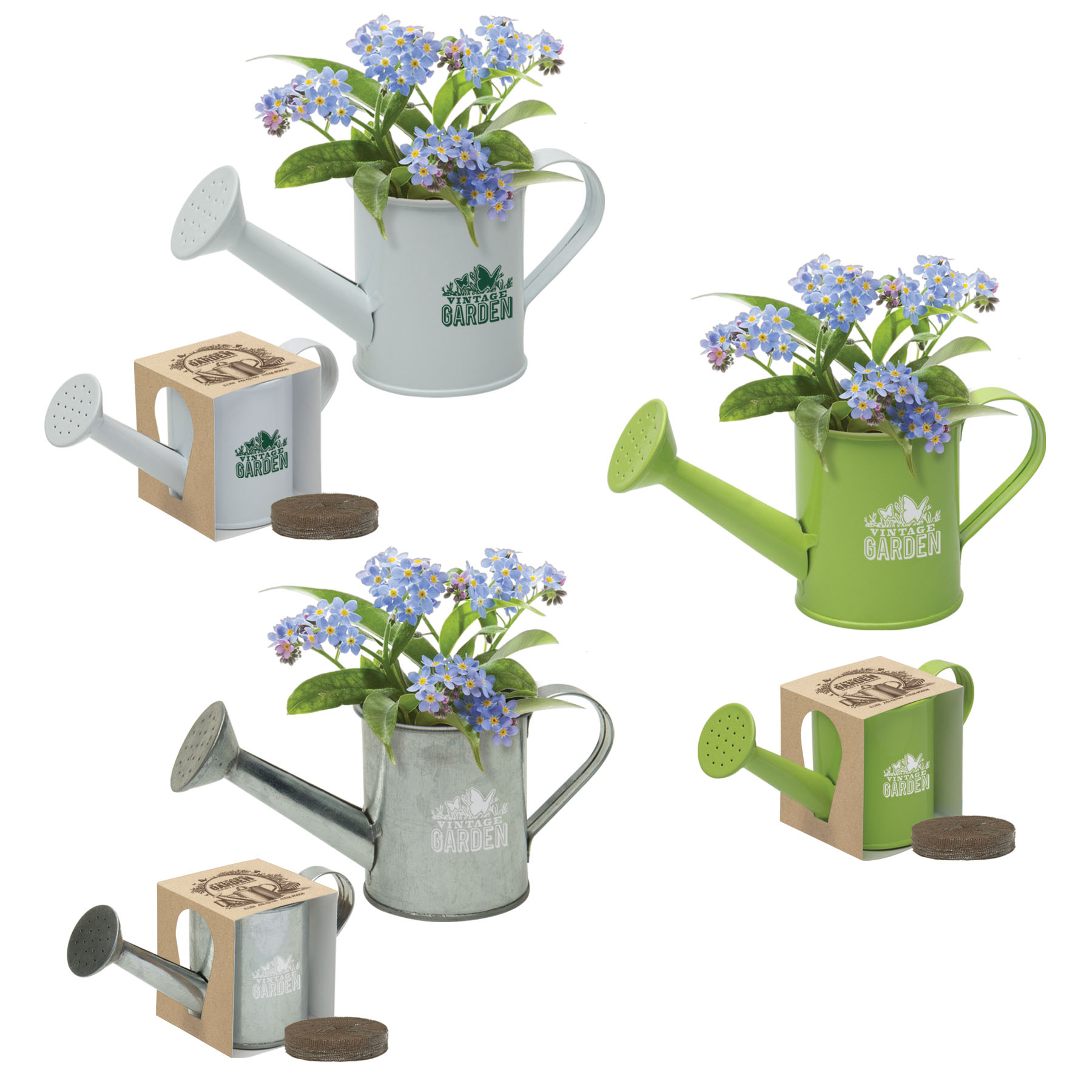 Mini Watering Can Blossom Kit w/Seeds 1