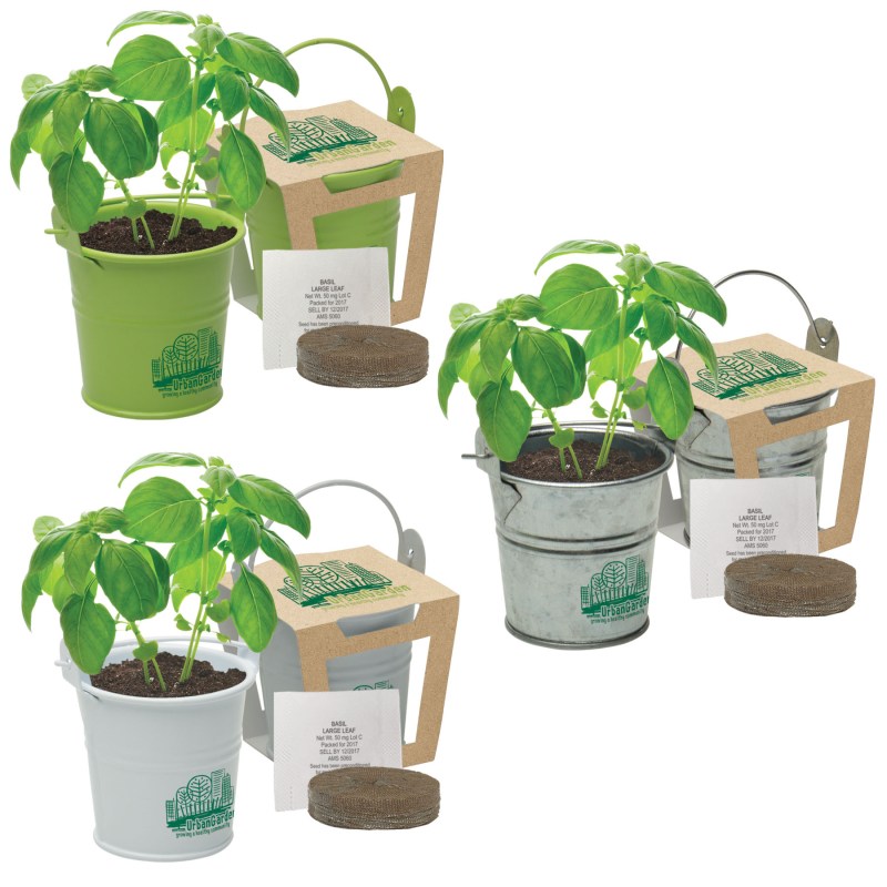 Mini Pail Blossom Kit w/Seeds & Planter 1 Mini Pail Blossom Kit w/Seeds & Planter 1