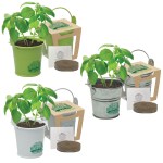 Mini Pail Blossom Kit w/Seeds & Planter 1 Mini Pail Blossom Kit w/Seeds & Planter 1