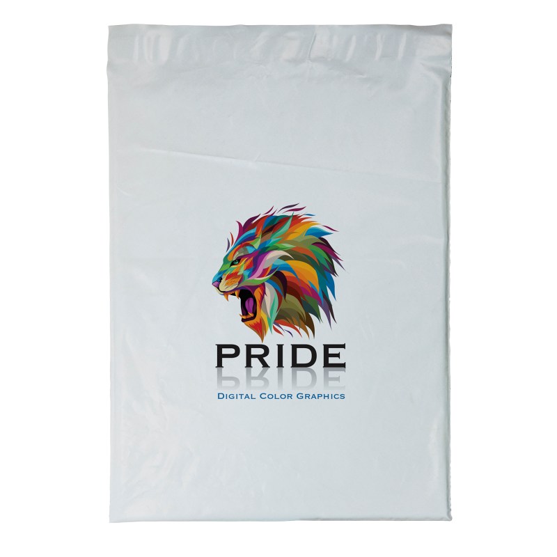 12W x 15½H Plastic Mailer - Dynamic Color 1 12W x 15½H Plastic Mailer - Dynamic Color 1