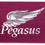 1 1/2" Bridal Satin Ribbon - 100yd Roll - Foil Print 1 1 1/2" Bridal Satin Ribbon - 100yd Roll - Foil Print 1