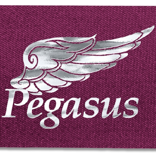 1 1/2" Bridal Satin Ribbon - 100yd Roll - Foil Print 1 1 1/2" Bridal Satin Ribbon - 100yd Roll - Foil Print 1