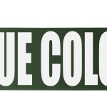 4" Badge Satin Ribbon - 50 yd Roll - Brilliance - Matte Finish - Hunter Green 4" Badge Satin Ribbon - 50 yd Roll - Brilliance - Matte Finish - Hunter Green
