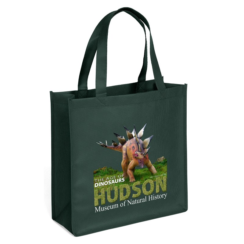Abe - Celebration Tote - ColorVista 1 Abe - Celebration Tote - ColorVista 1