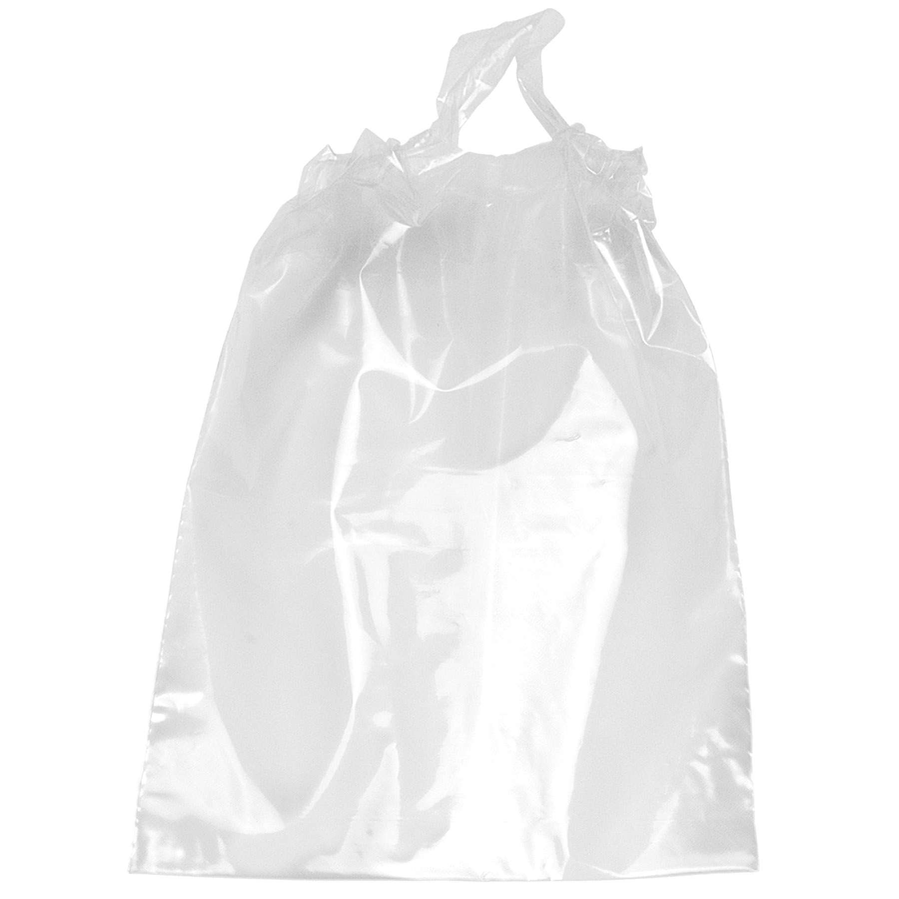 12W x 15H x 3 Poly-Draw Bag - Flexo Ink Print 1