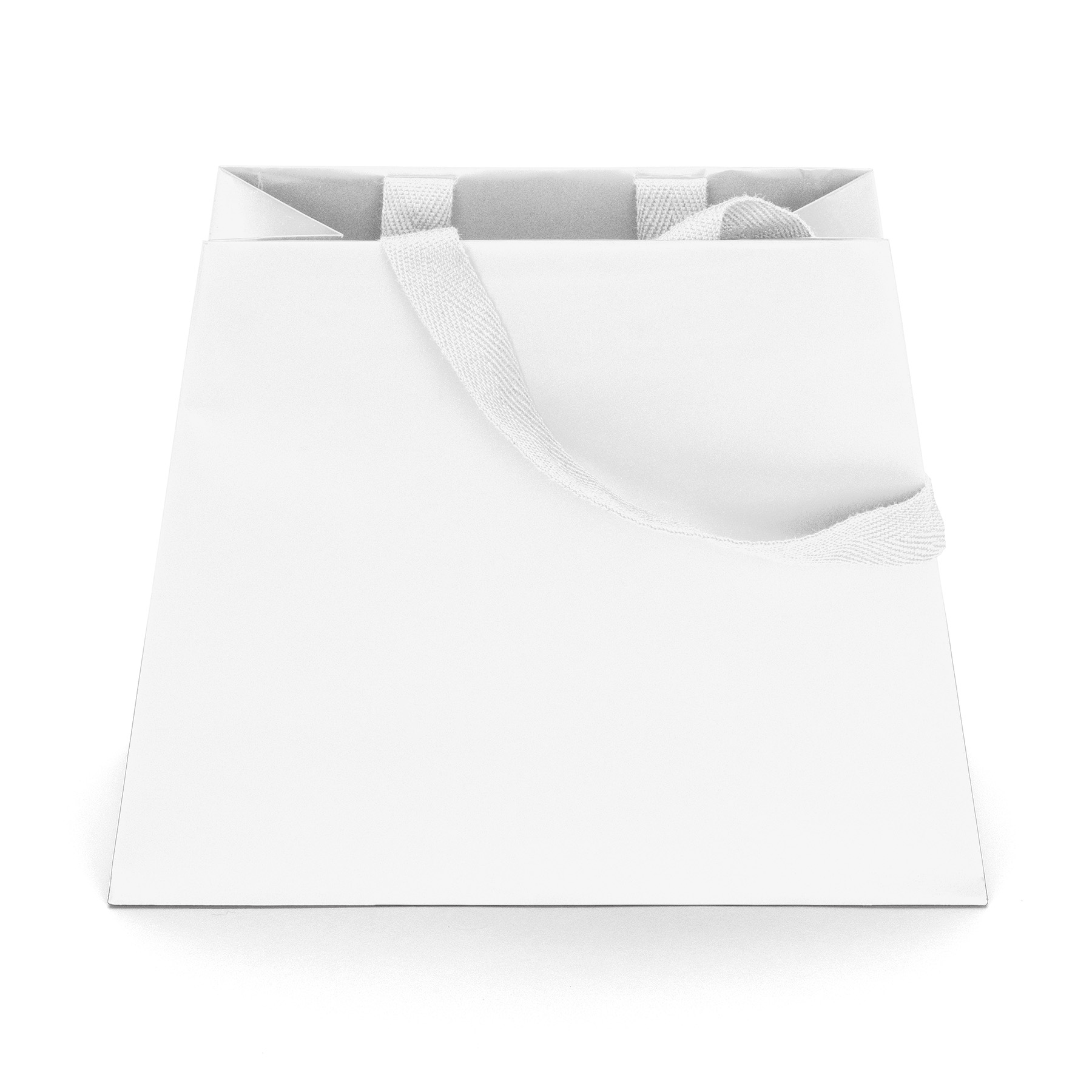 Everest - Trapezoid Eurotote - Foil Print 1