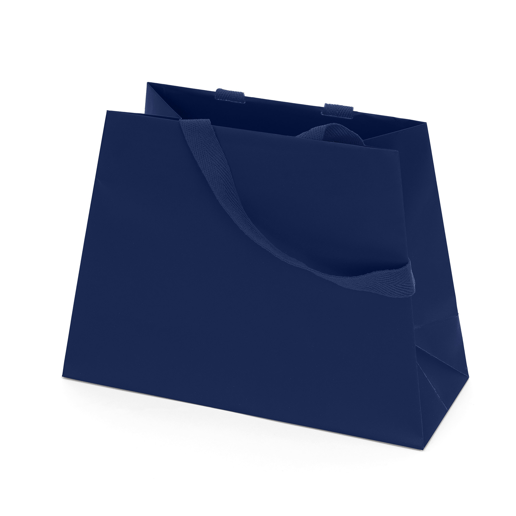 Everest - Trapezoid Eurotote - Foil Print 1