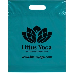 12W x 15H x 3 Die Cut Handle Bag - Flexo Ink Print 1 12W x 15H x 3 Die Cut Handle Bag - Flexo Ink Print 1