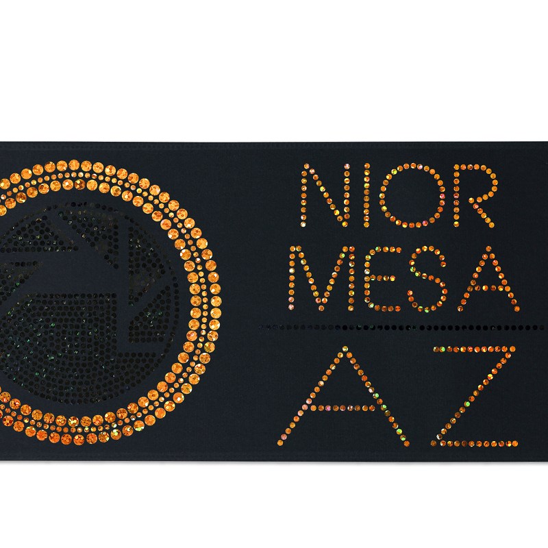 5" Badge Satin Ribbon - 25yd Roll - Sparkle 1 5" Badge Satin Ribbon - 25yd Roll - Sparkle 1