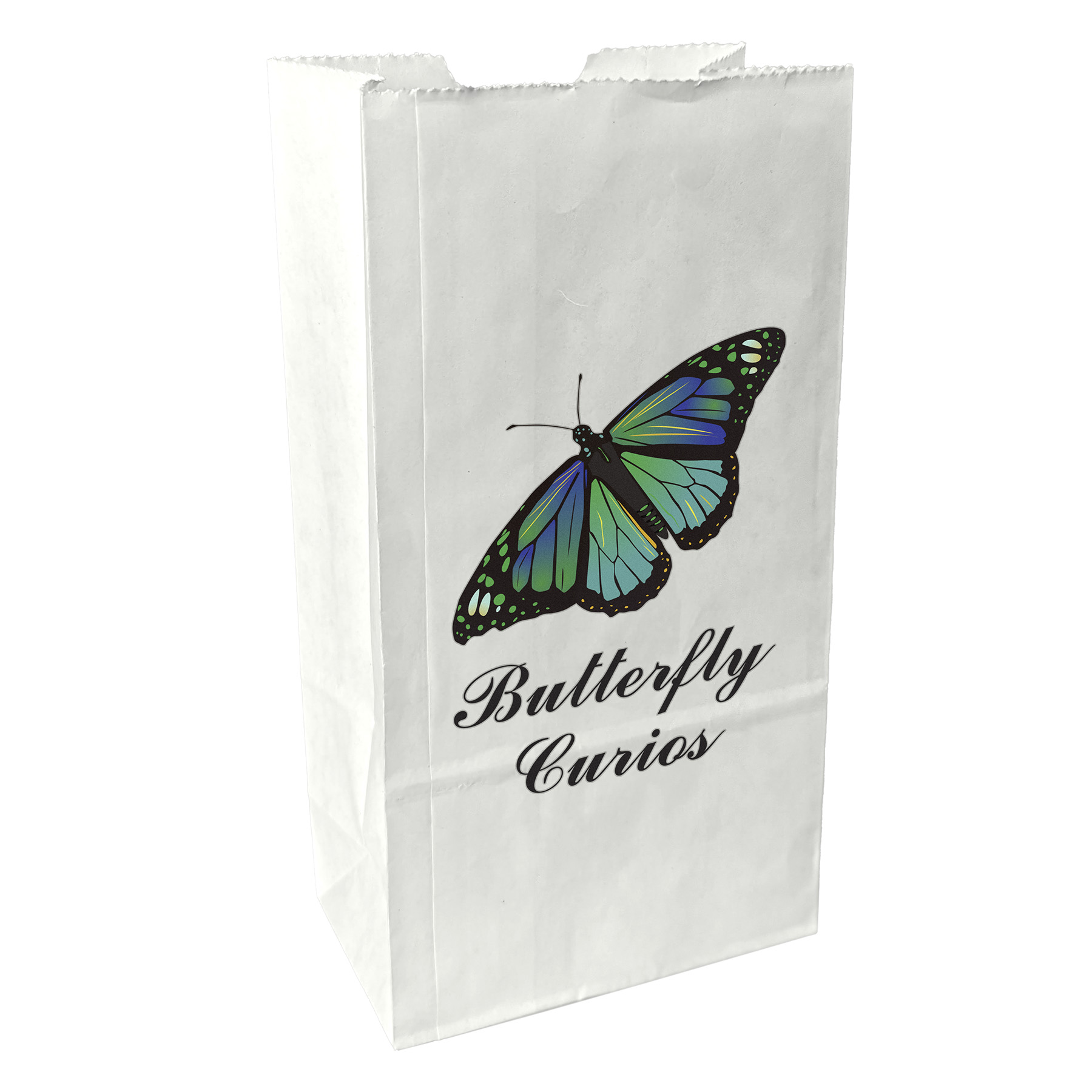 2# Popcorn Bag - ColorVista 1
