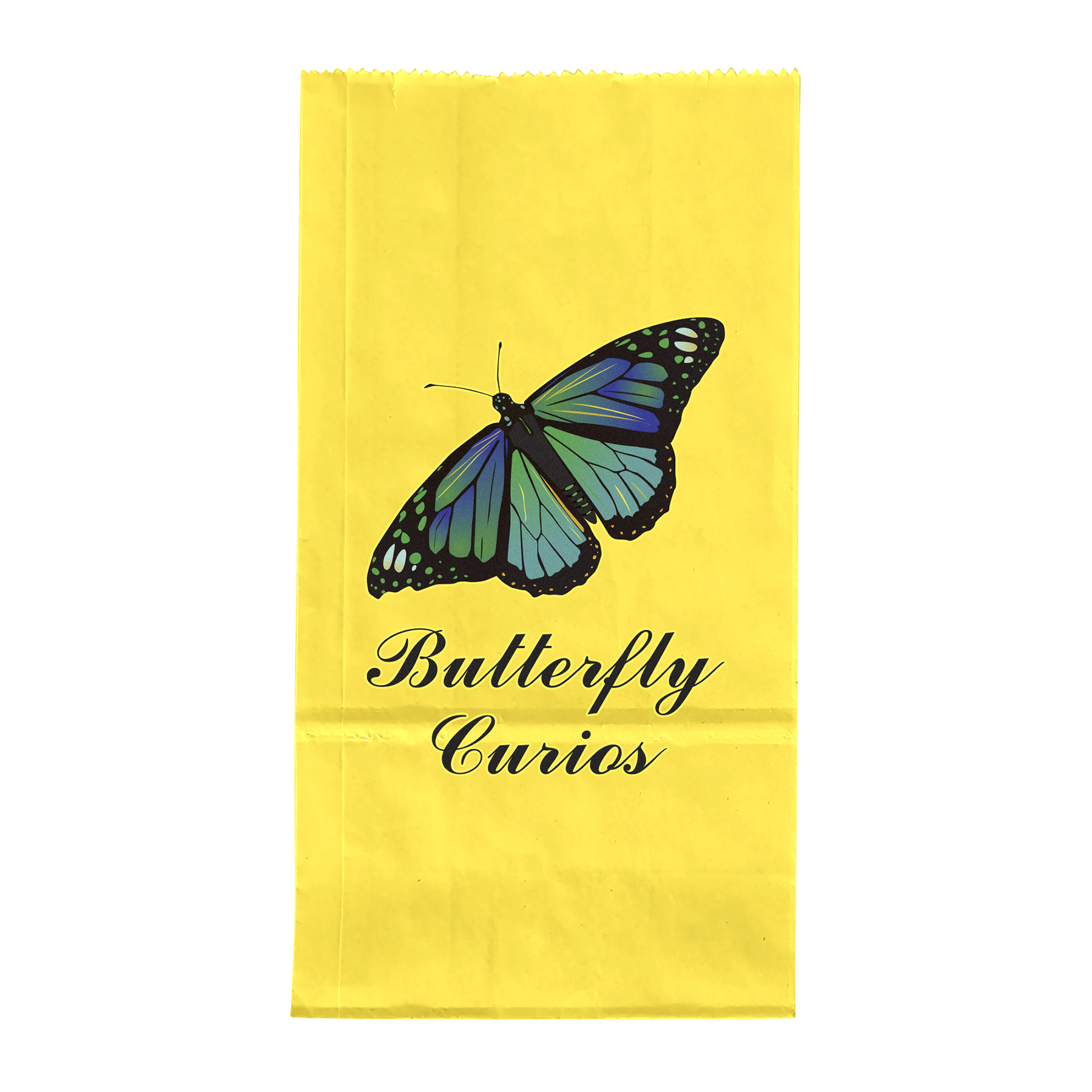 2# Popcorn Bag - ColorVista 1