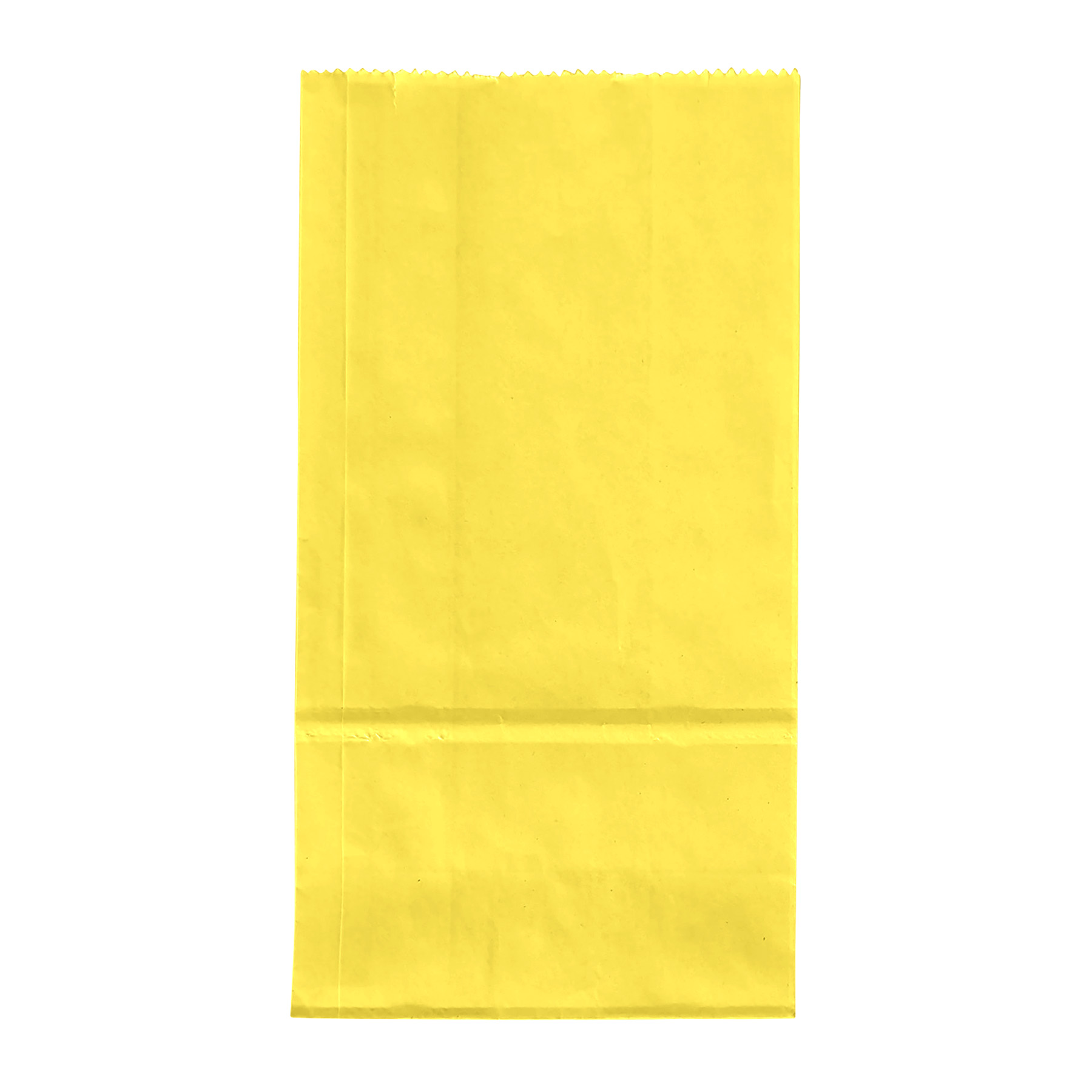 2# Popcorn Bag - ColorVista 1