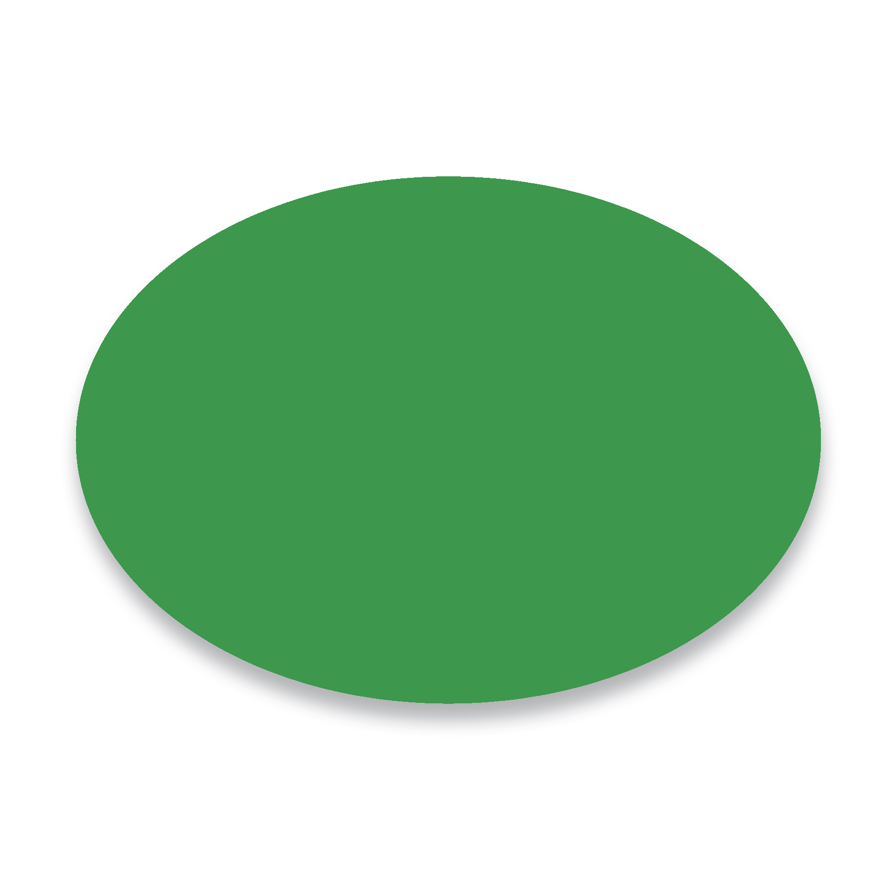 Silicone Coasters 1