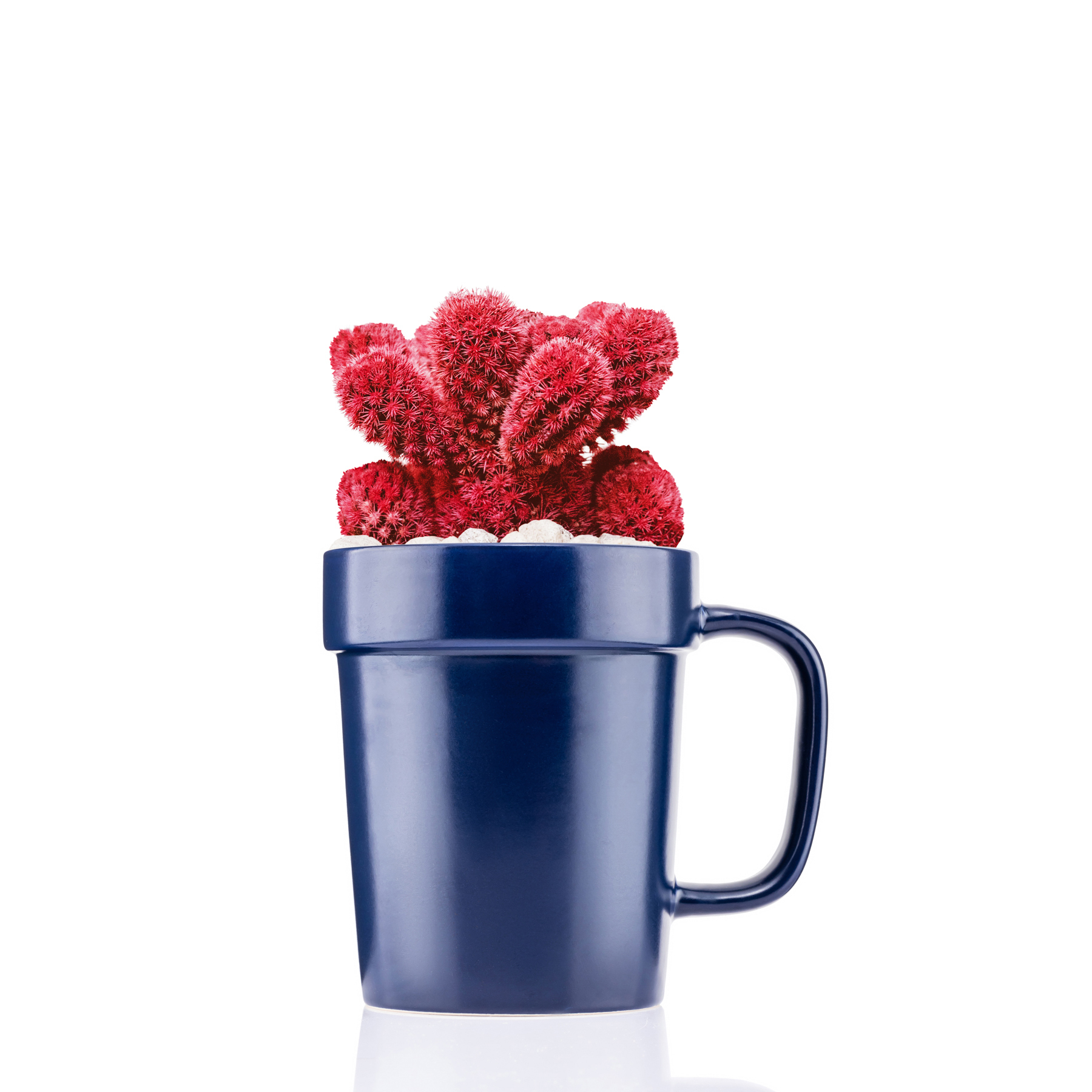16 oz Planter Mug 1