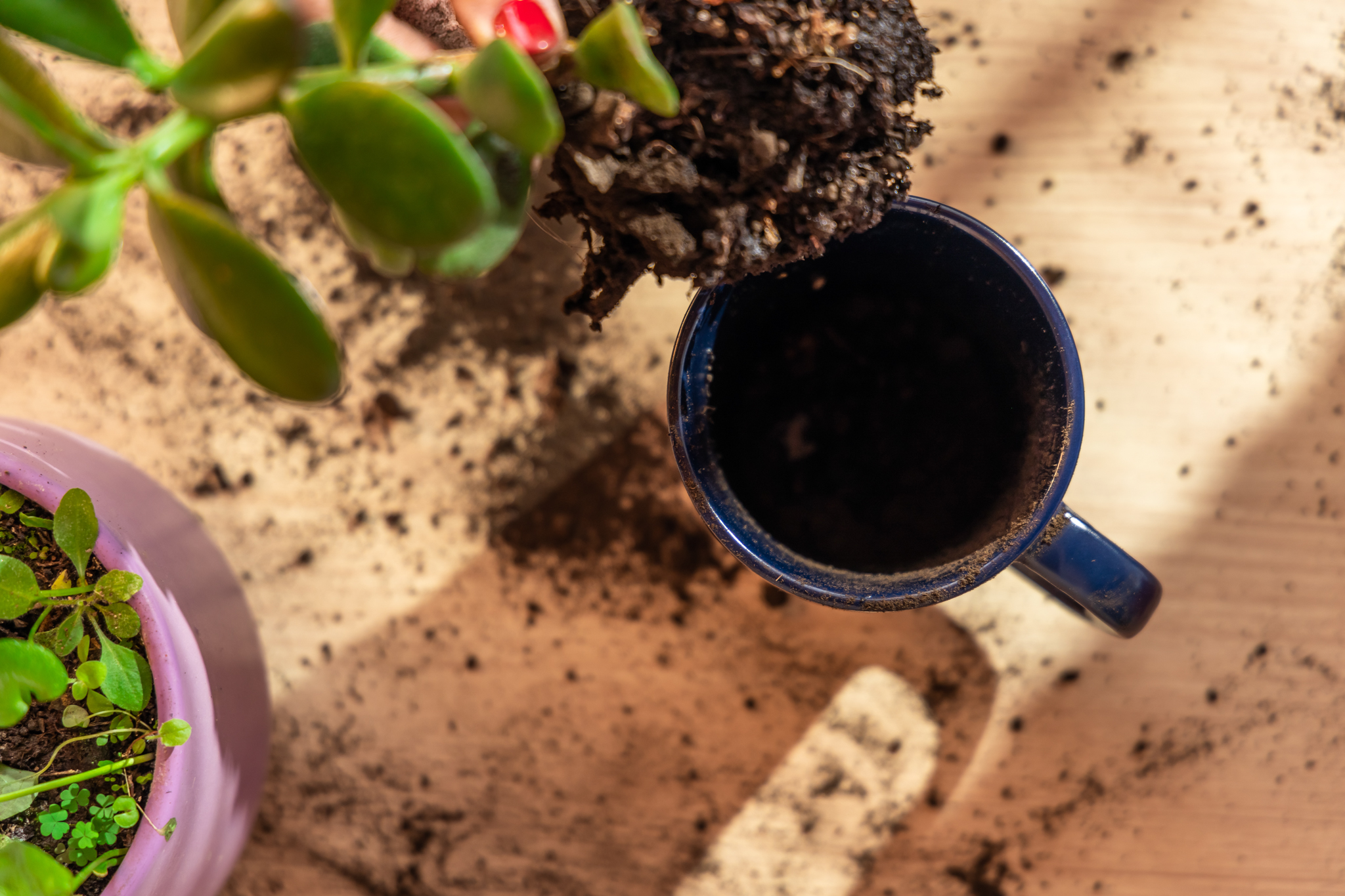16 oz Planter Mug 1